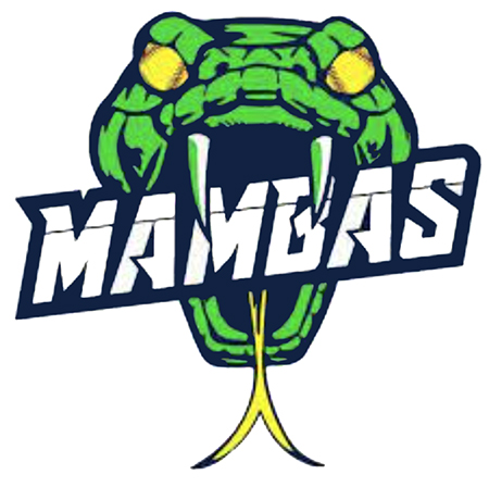 Team Logo